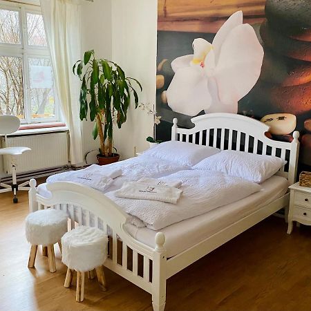 Beauty-Spa Apartment Decin Luaran gambar