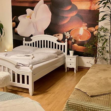 Beauty-Spa Apartment Decin Luaran gambar