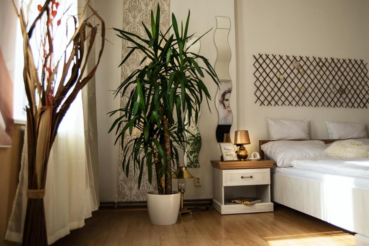 Beauty-Spa Apartment Decin Luaran gambar