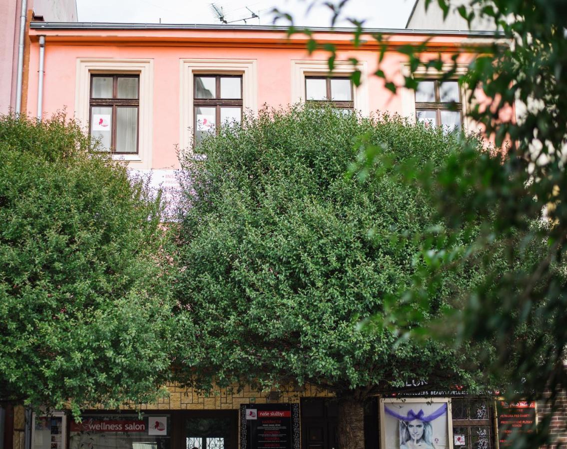 Beauty-Spa Apartment Decin Luaran gambar