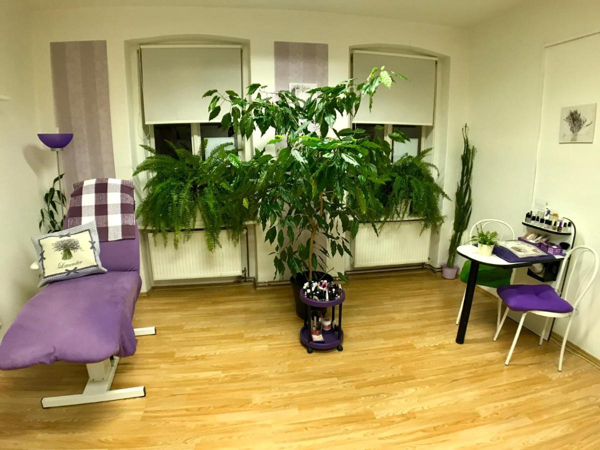 Beauty-Spa Apartment Decin Luaran gambar