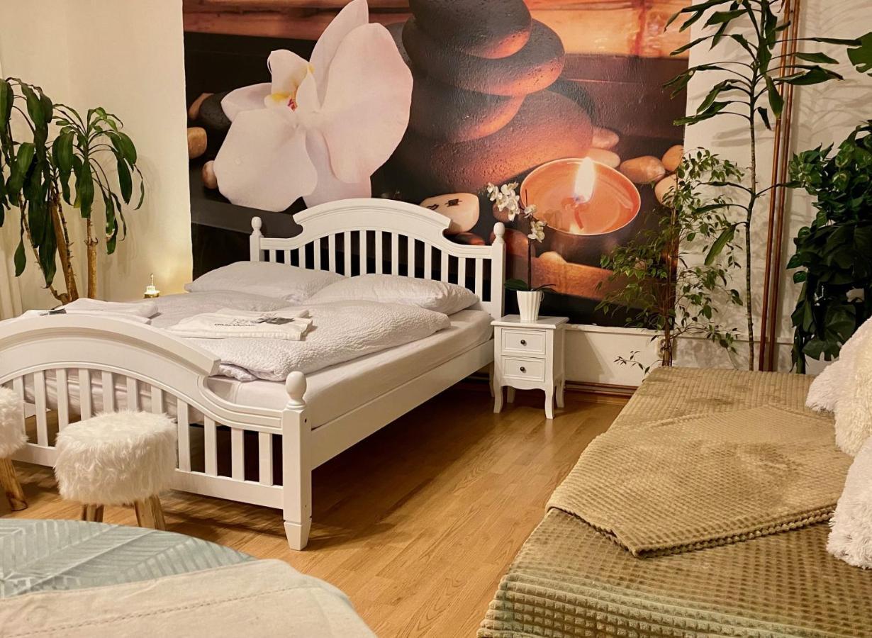 Beauty-Spa Apartment Decin Luaran gambar
